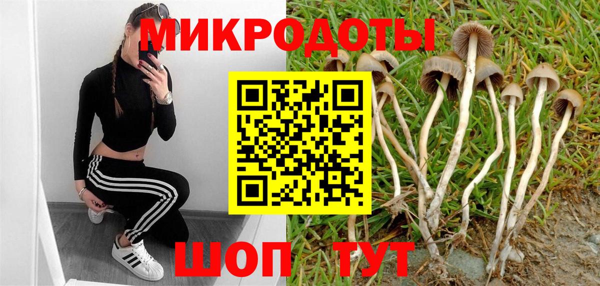 Псилоцибиновые грибы Cubensis Усть-Илимск