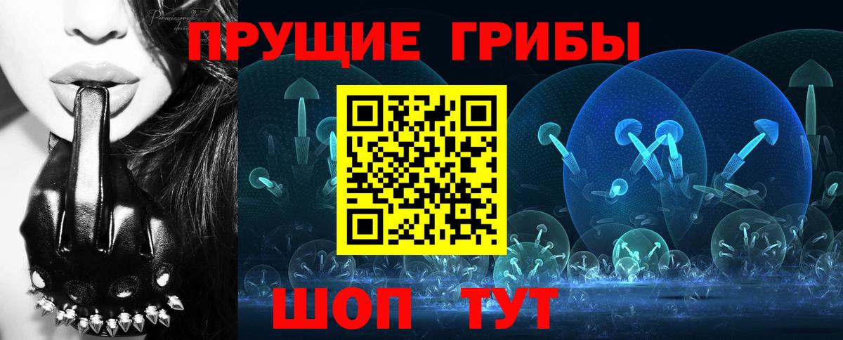 Галлюциногенные грибы Psilocybine cubensis  Вход с VPN  Усть-Илимск 